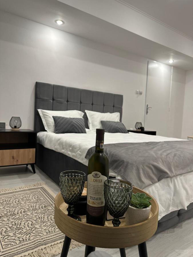 Saguna Residence2 锡吉什瓦拉 外观 照片